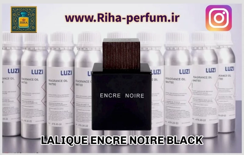 عطر مردانه لالیک انکر نویر مشکی (لوزی ، ژیوادان ، اکسپرشنز ، lvl)