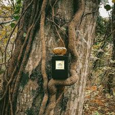 عطر یونیسکس جورجیو آرمانی پرایو رز دی عربی (لوزی ، ژیوادان ، اکسپرشنز ، lvl)